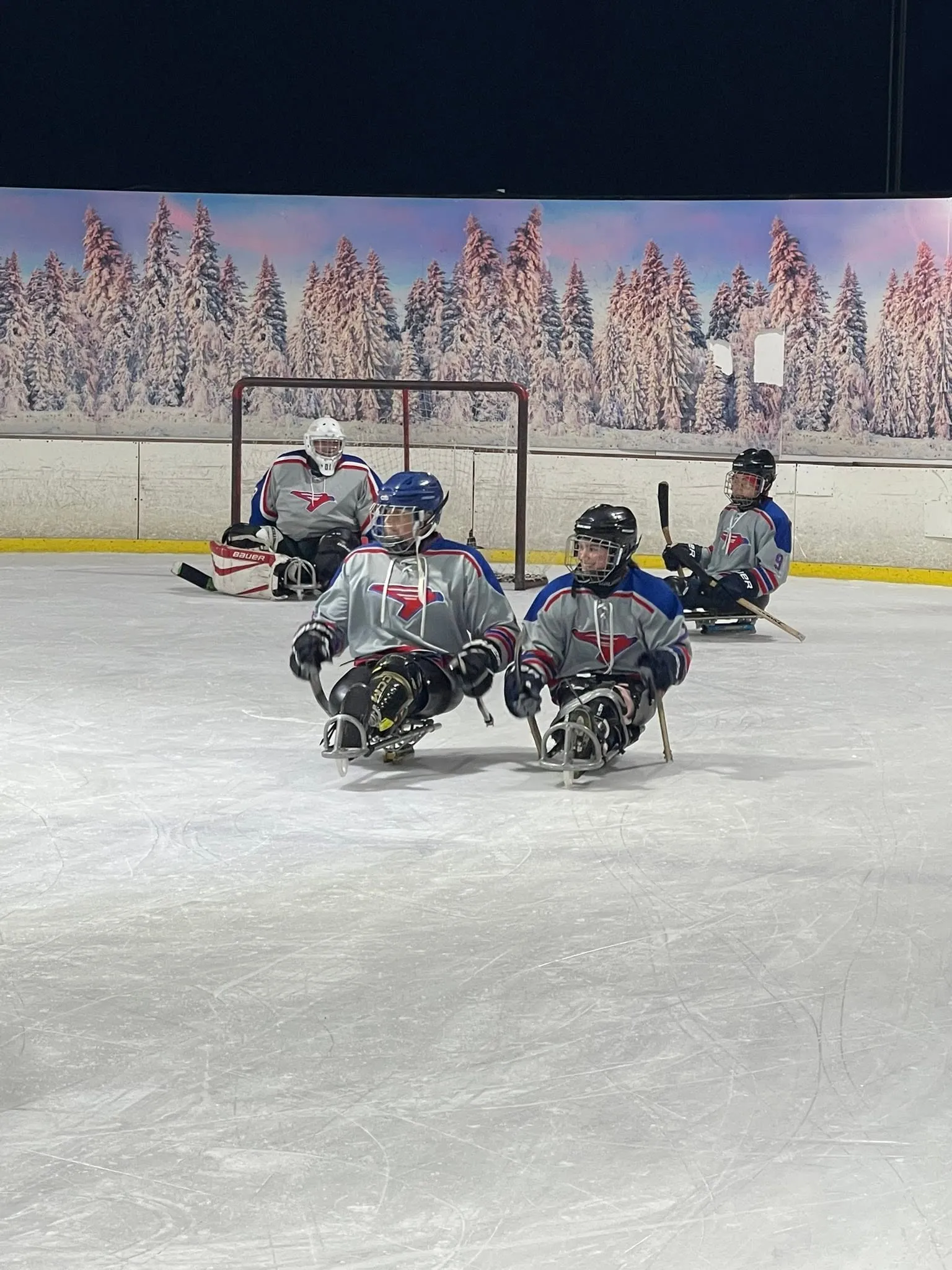 Broomball action image 3